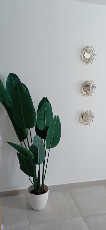 Apartamento casco histórico con ático. Appartamento Siviglia Esterno foto
