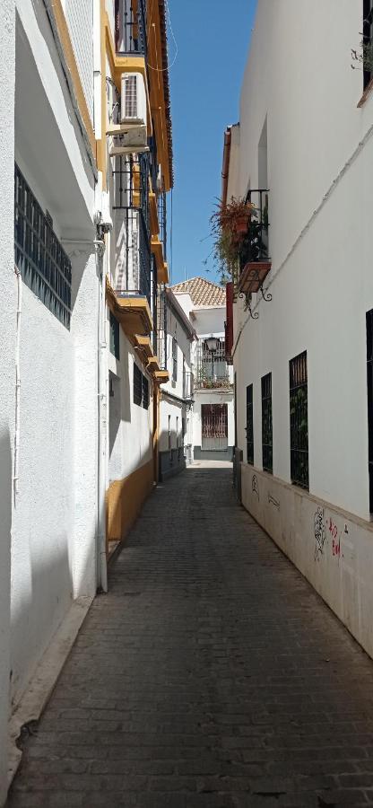 Apartamento casco histórico con ático. Appartamento Siviglia Esterno foto